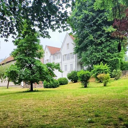 Domaine De La Moselle Bed & Breakfast Saint-Maurice-sur-Moselle Dış mekan fotoğraf
